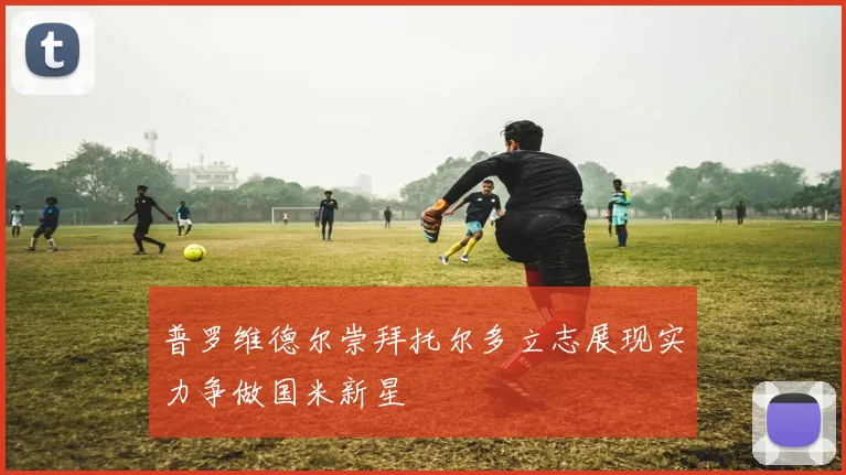 普罗维德尔崇拜托尔多立志展现实力争做国米新星